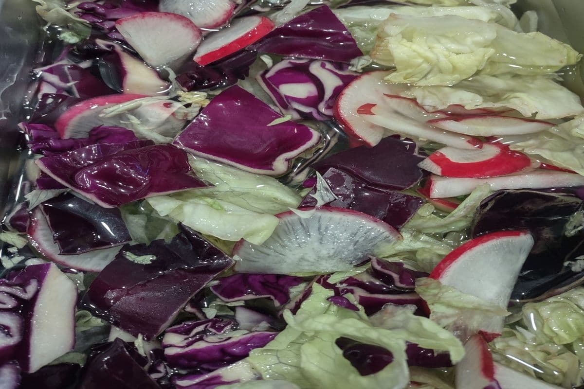 Salade César / Ceasar Salad
