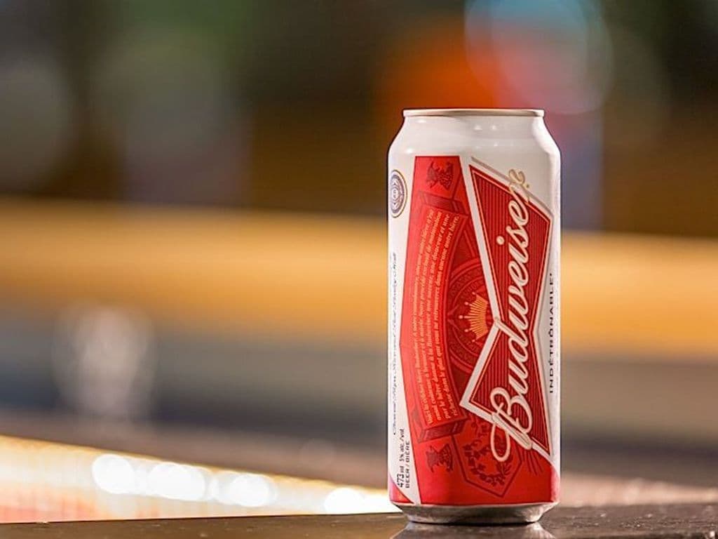 Budweiser, 500m can beer, (5% ABV)