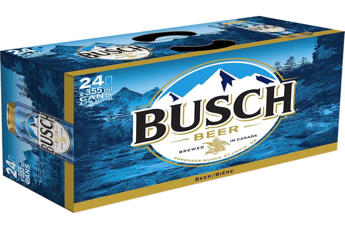 BUSCH 24 CAN (24 x 355mL)