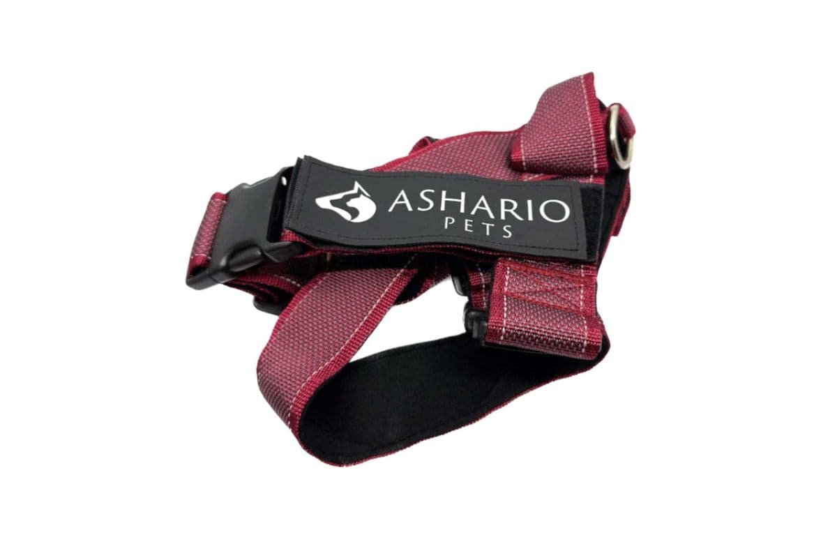 Ashario Pets "BreezyVest" Summer Lightweight Reflective Harness - Wine Red - XL (XL)