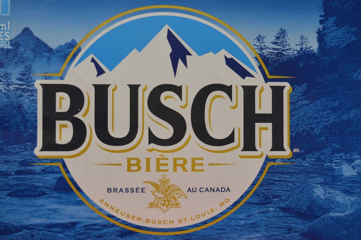 Busch Lager Beer (24 x 355 ml)