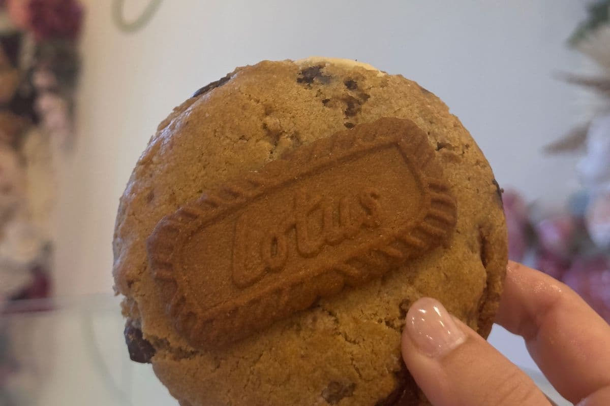 Biscoff Cookie