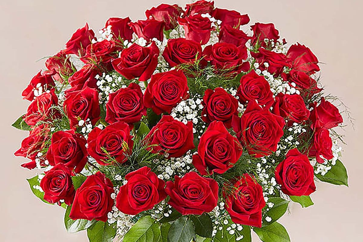 50 Shades of Red™ Long Stem Red Roses with Vase
