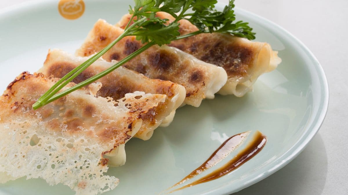 Pork Fried Dumplings(6) 猪肉大葱锅贴