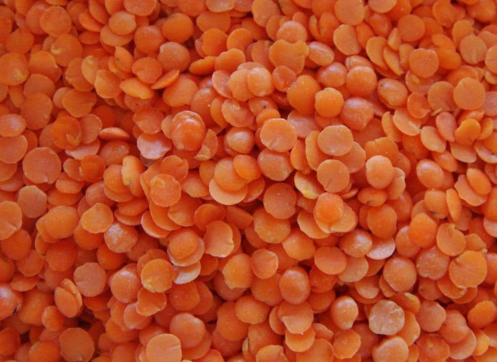 1000 Spices Masoor Dal (1 kg)