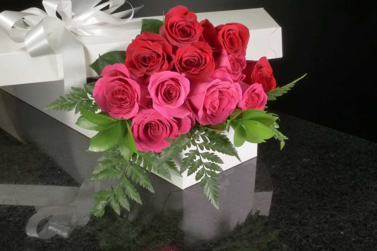 12 Long Stem Extra-Large Premium Hot Pink Roses