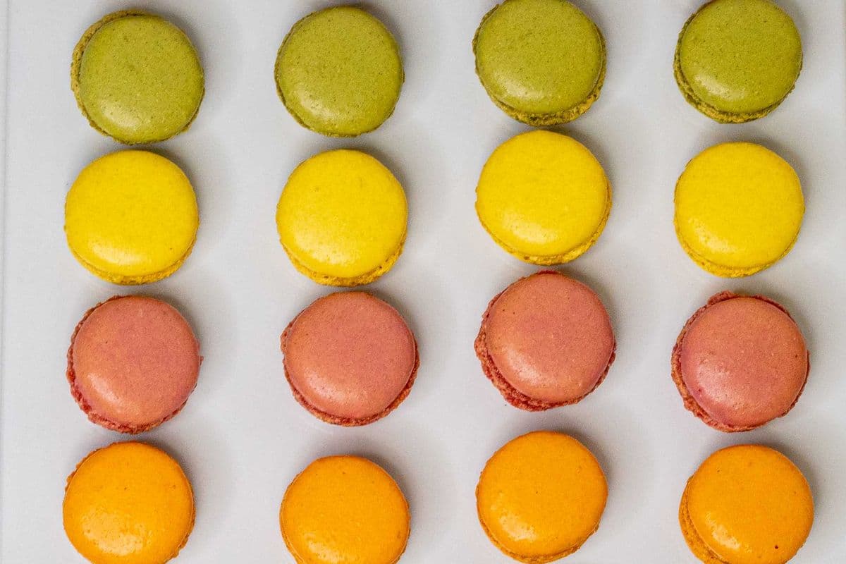 Macron (2 Macrons)