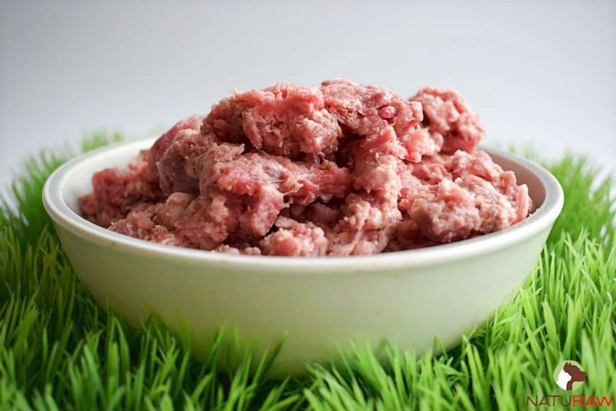 Free-Range Lamb