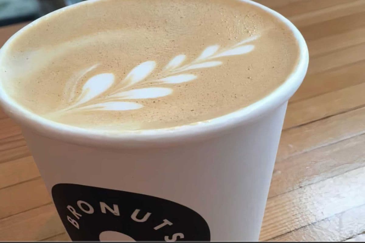 Hot Chocolate (12 oz)