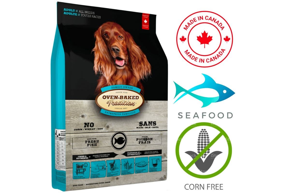 Oven-Baked Tradition Adult Fish Dry Dog Food (5 lbs)