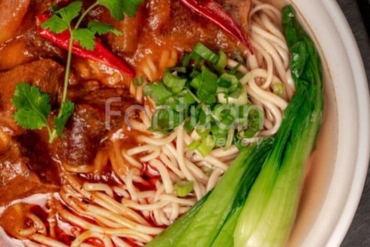 Tendon de bœuf braisé à la sauce brune avec nouilles / Braised Beef Tendon in Brown Sauce with Noodles