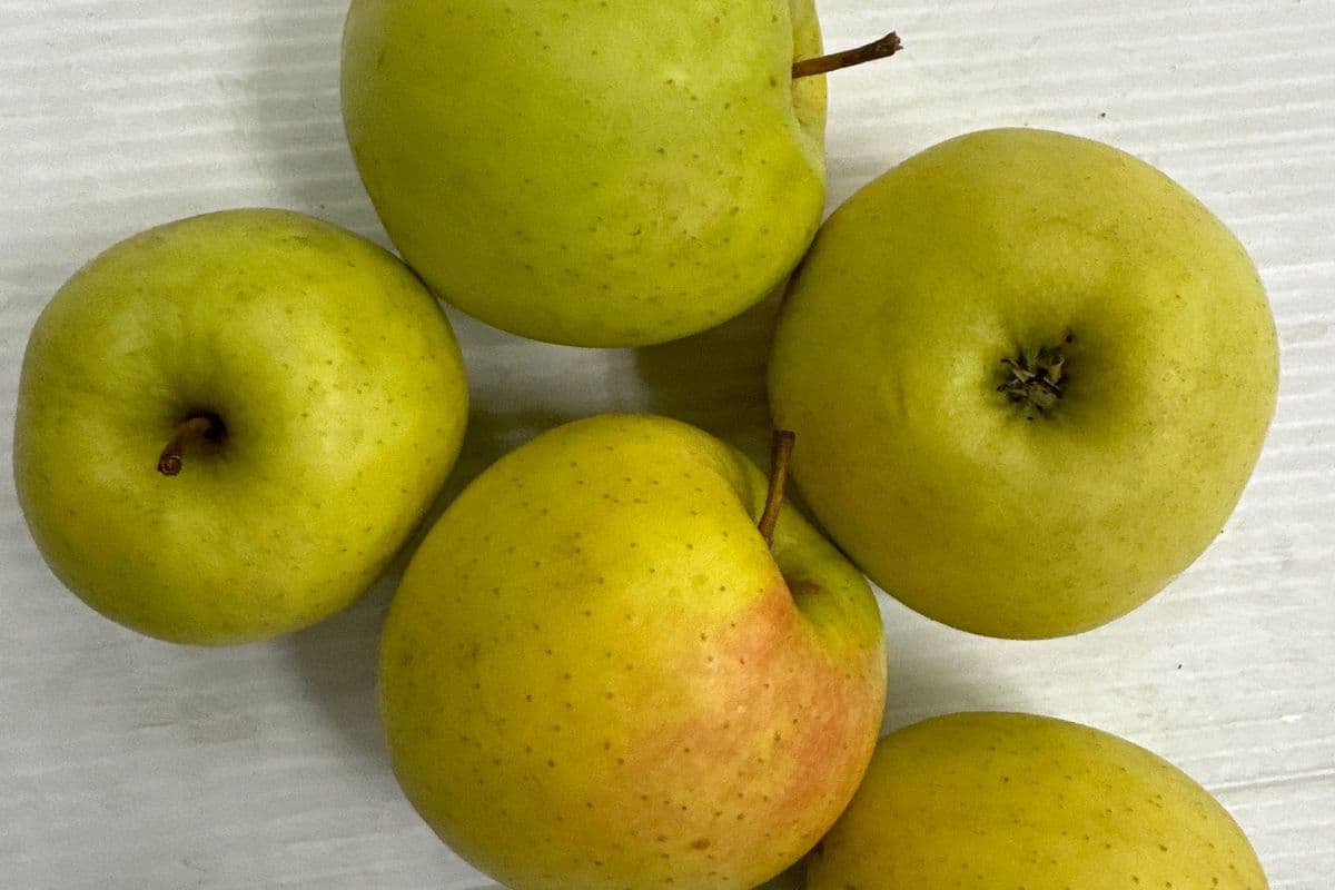 Golden Delicious Apples @1.29/lb (1lb)