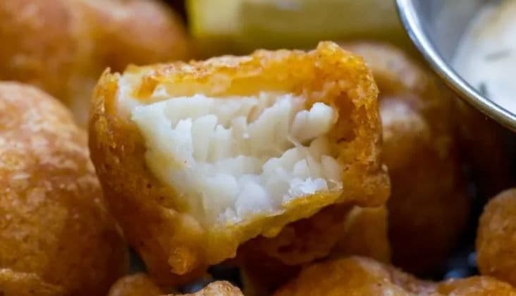 Day & Night Fish Bites