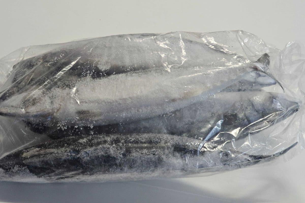 Mackarel Fish 1/4 Box