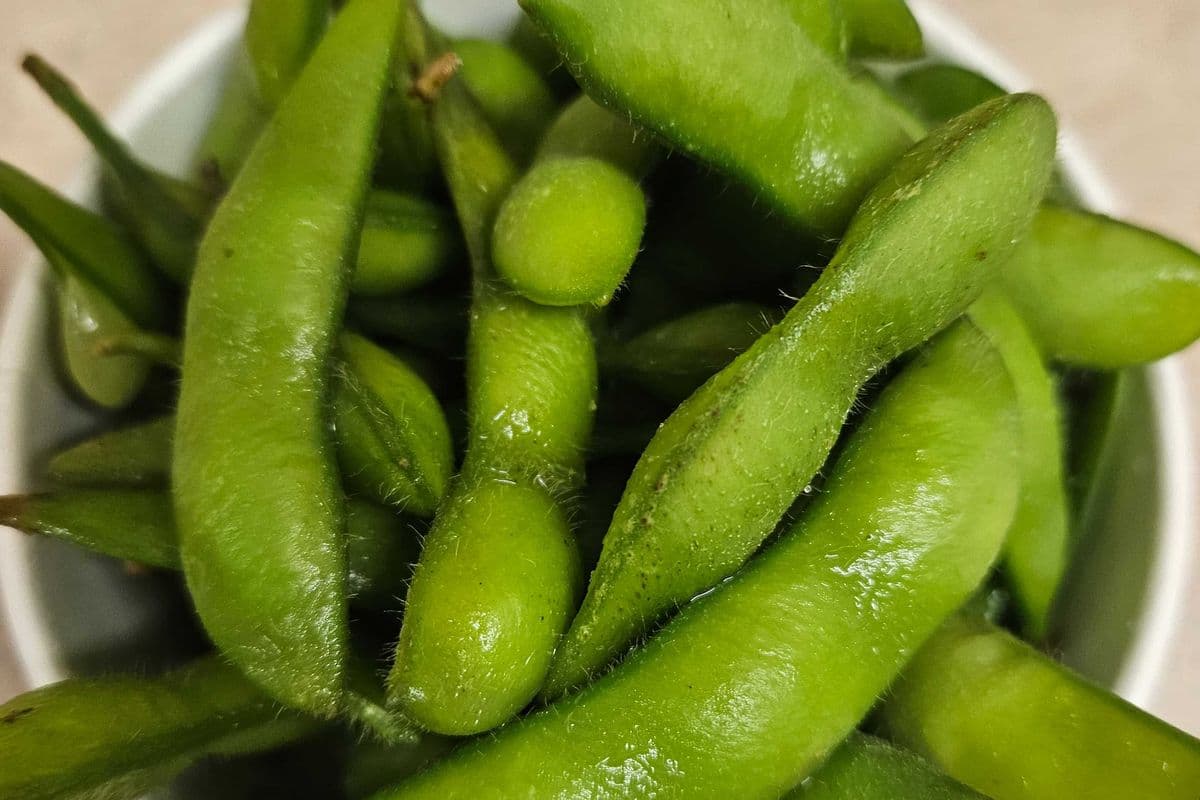 Edamame