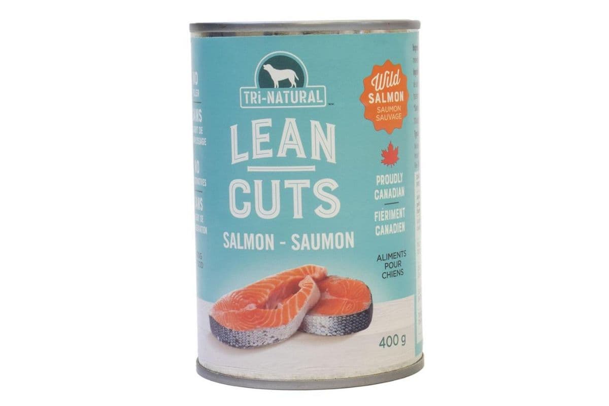 Tri-V Lean Cuts Salmon Wet Dog Food (400 g)