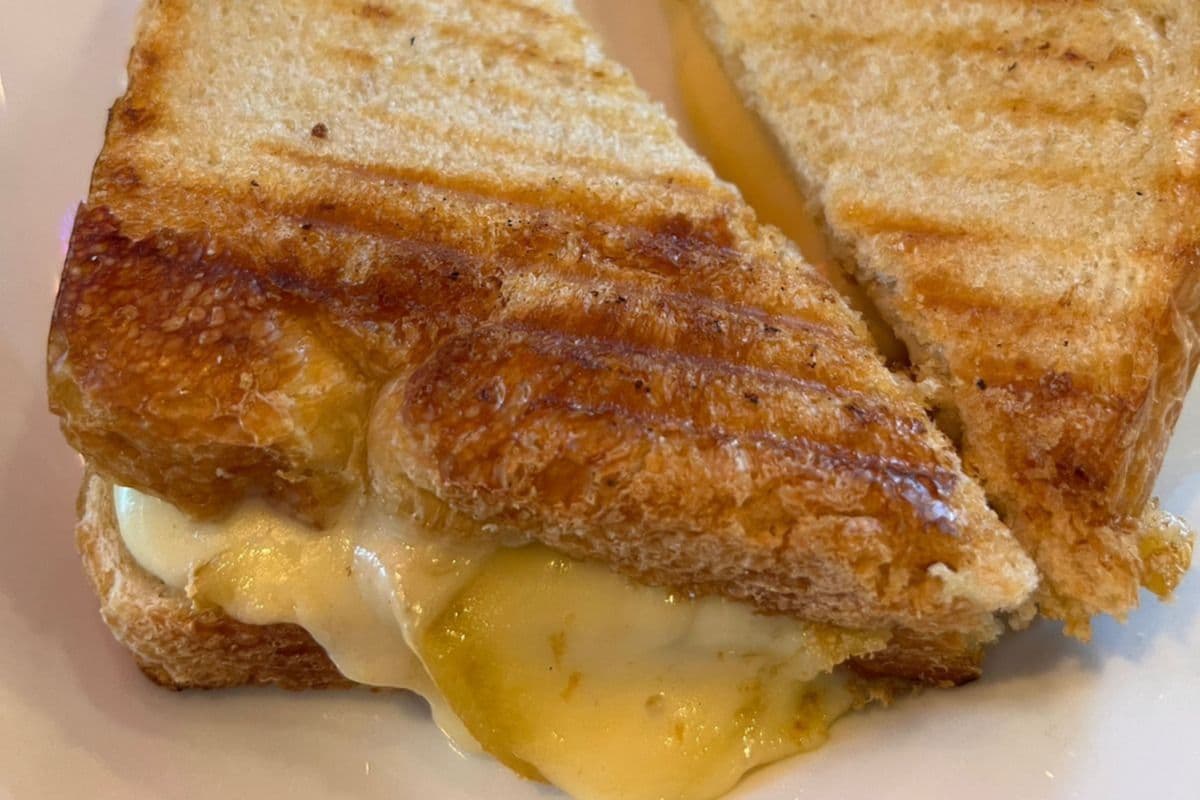 Croque Trappist Grilled Sandwich