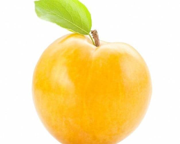 Plums Golden (8 PCS)