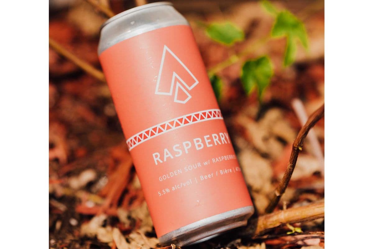 Raspberry Sour (1 x 473 ml)