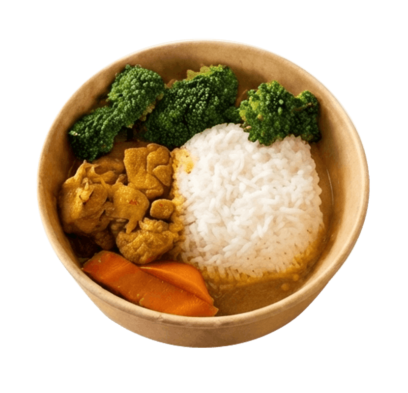 Curry Chicken Rice