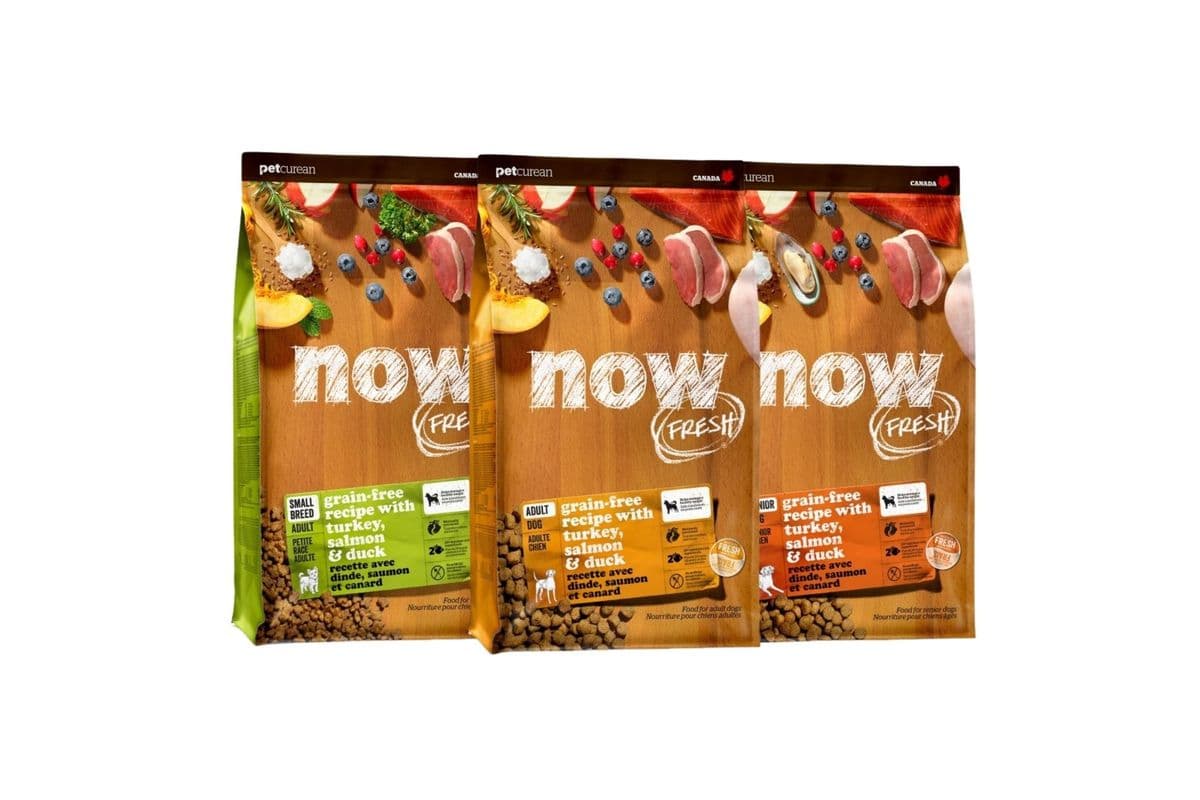 Now Fresh Dog Kibble