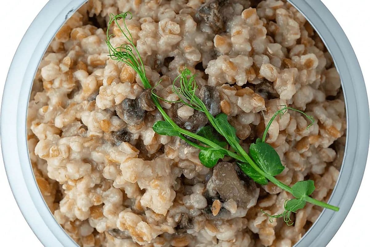 Spelt / Hachar Pilaf