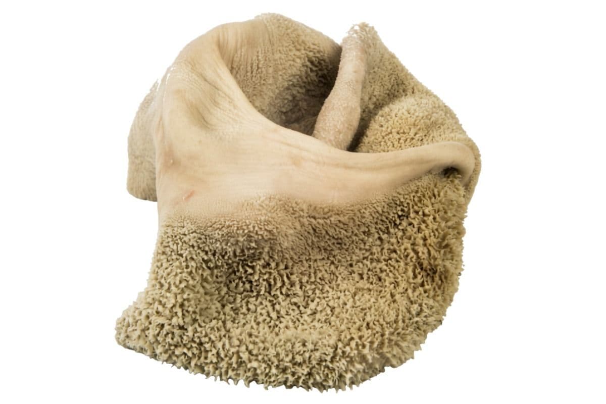 Shaki/Tripe (1 lb)