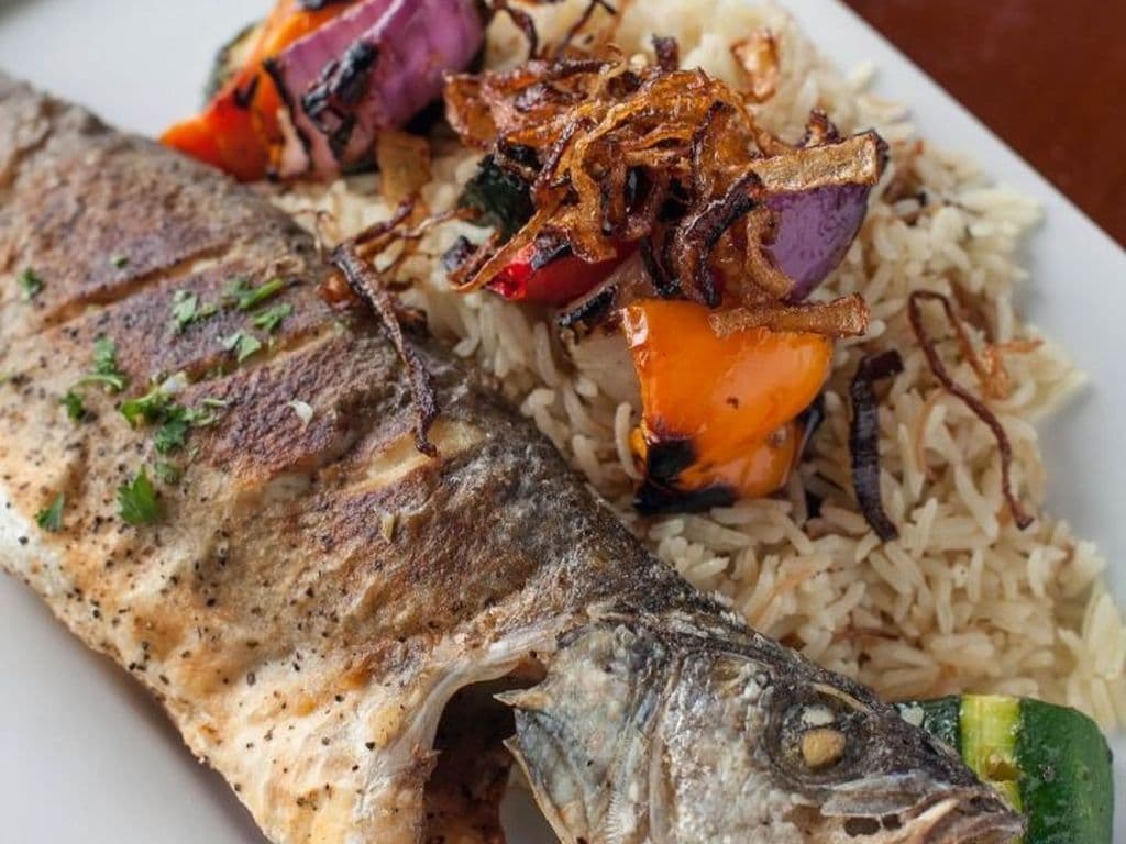 European Seabass
