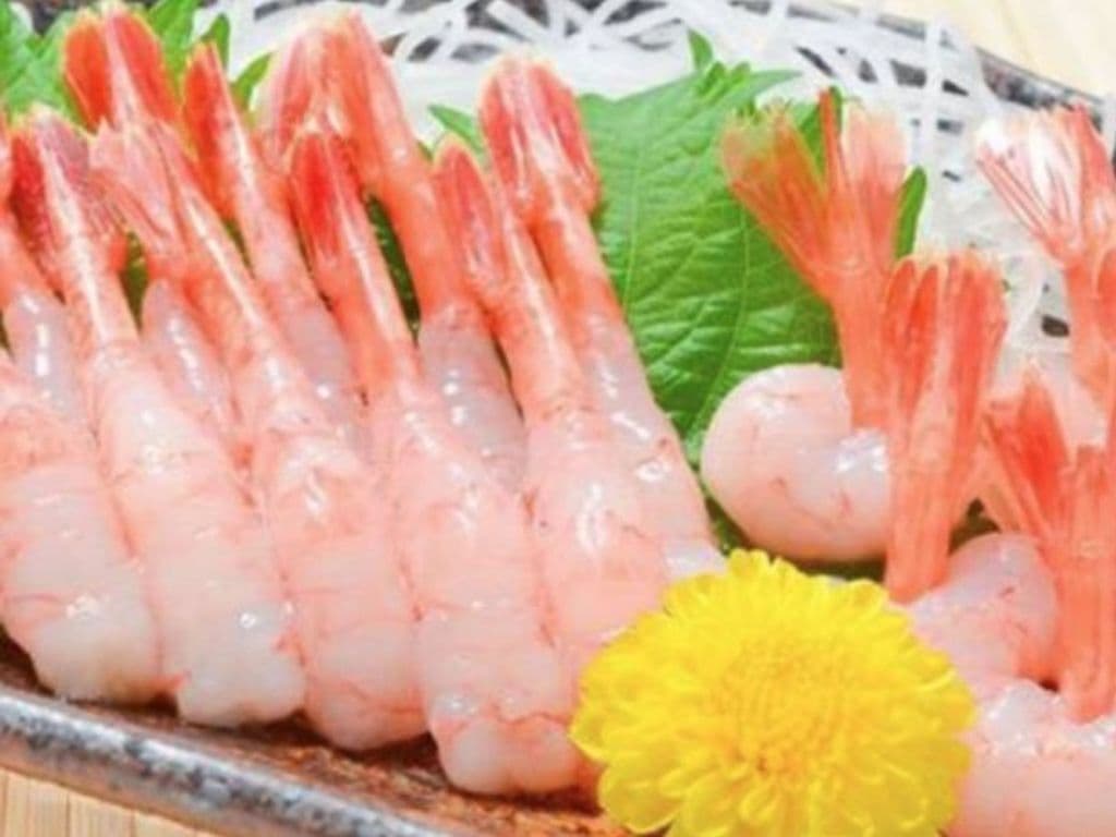 Amaebi Sashimi