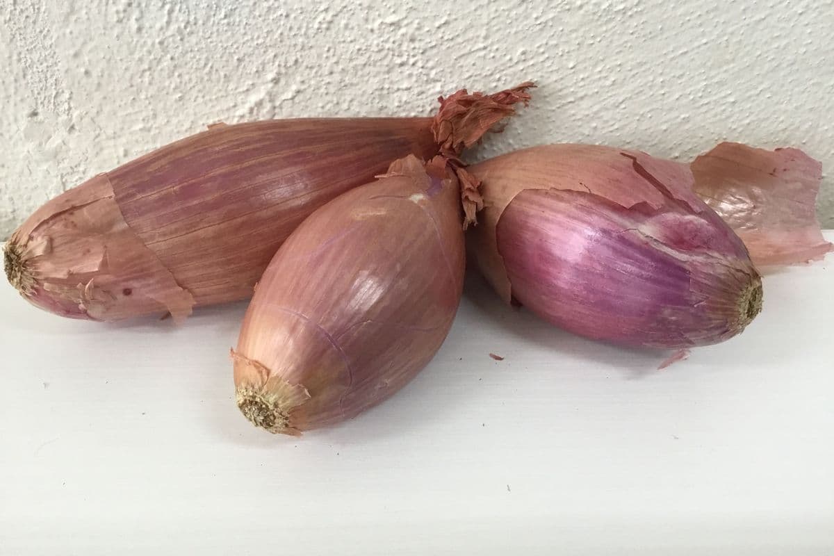 Shallots (Conventional) (4 Medium)