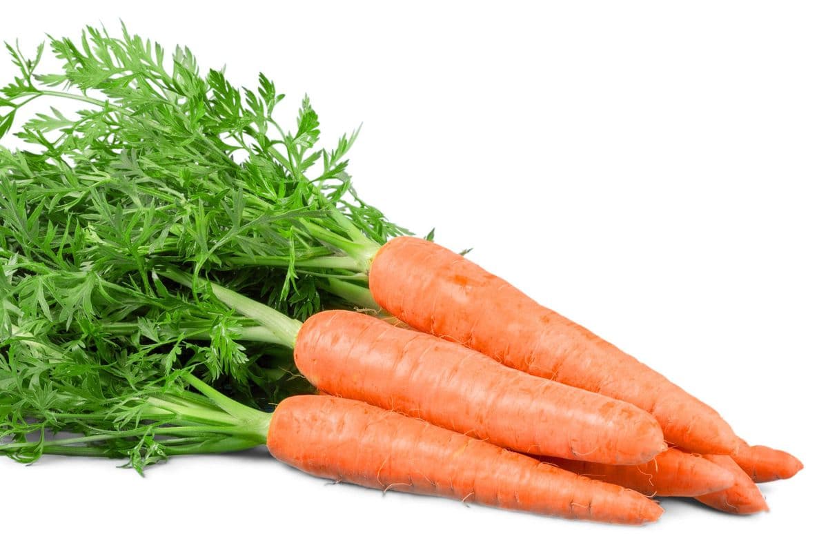 Sac carottes