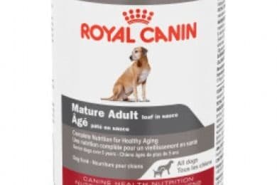 Royal Canin Nourriture en Pâté pour Tous Chiens Mature / Royal Canin Pâté Food for All Mature Dogs (385 g)