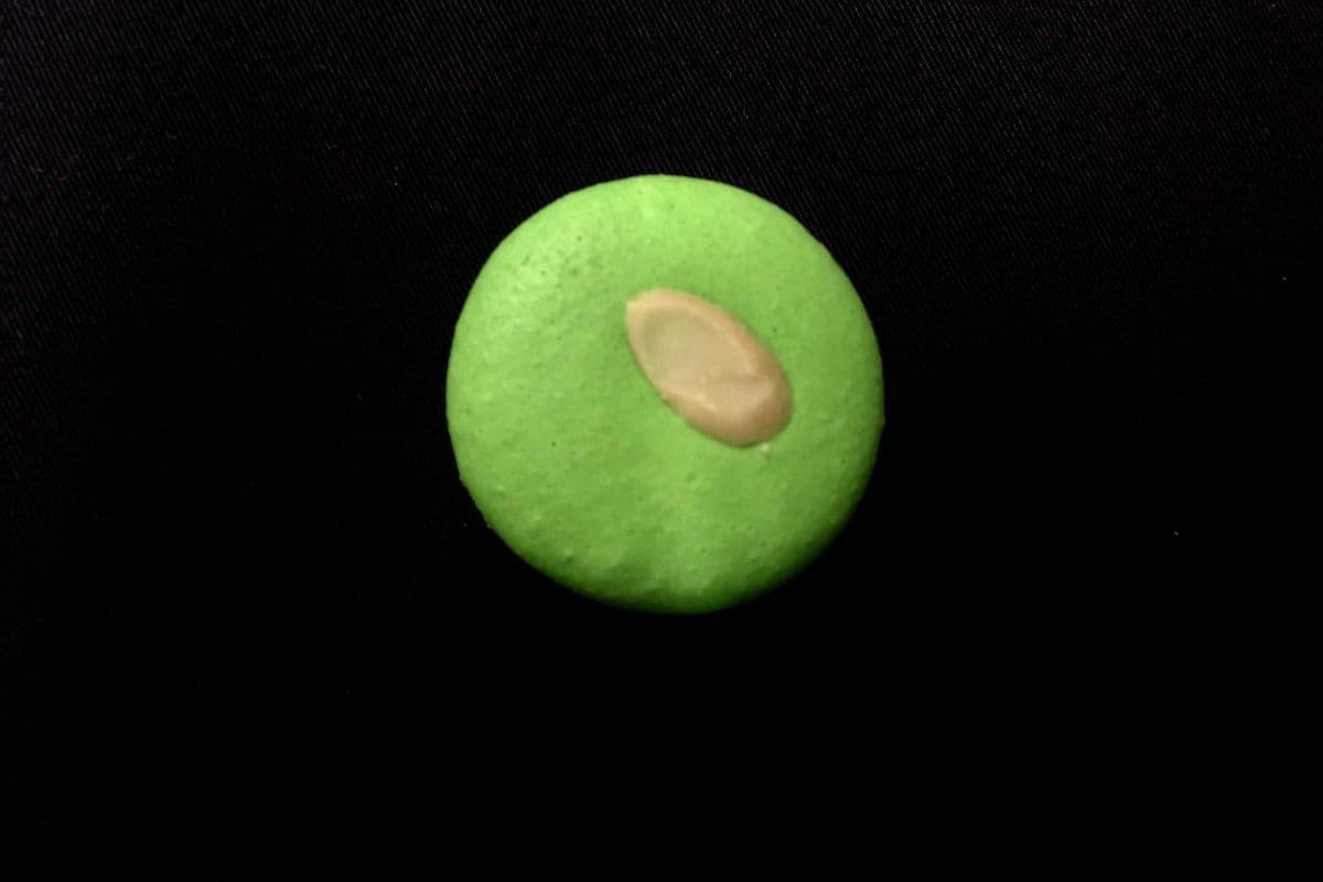 Almond Macaron