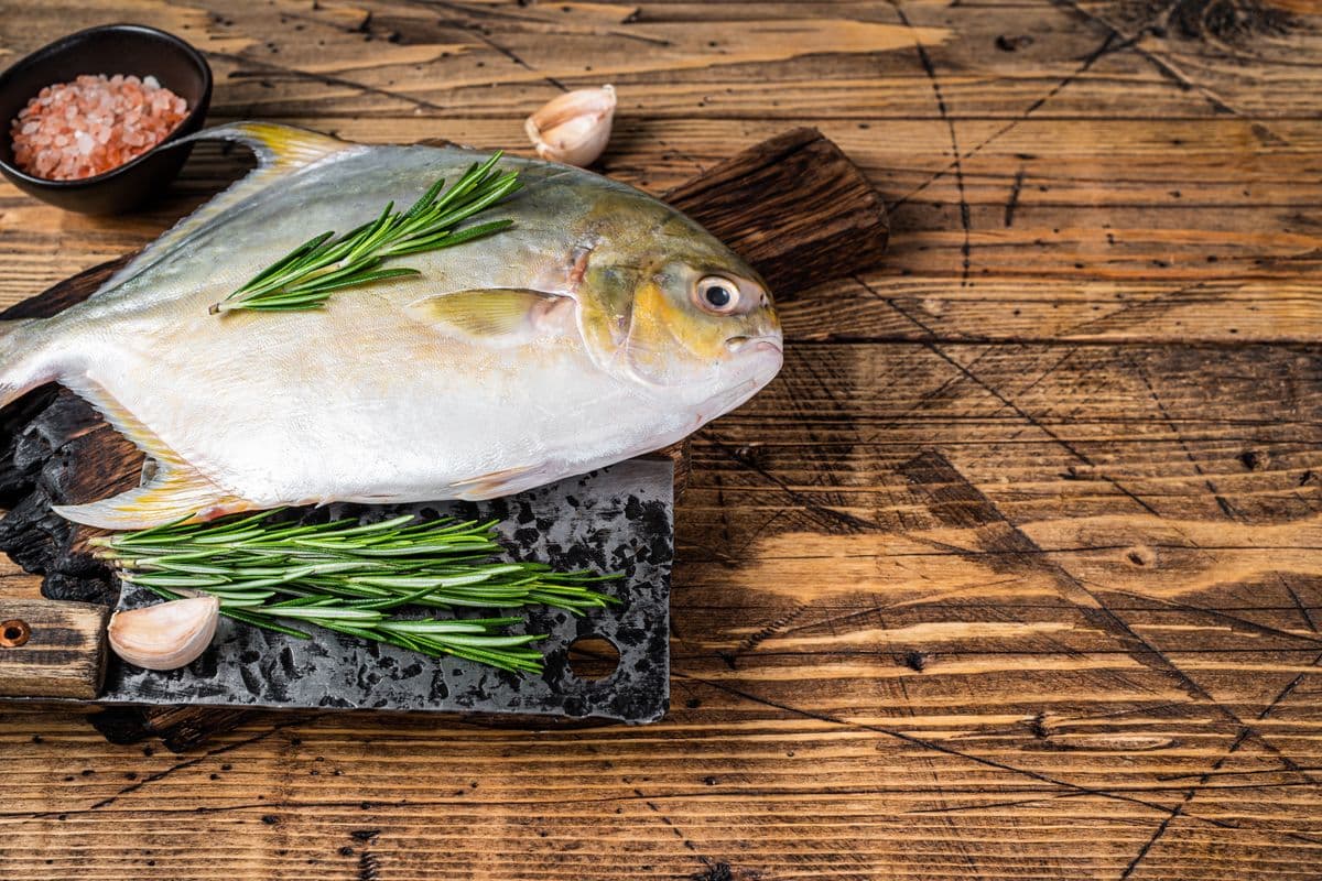 Golden Pompano Fish large (1 kg)