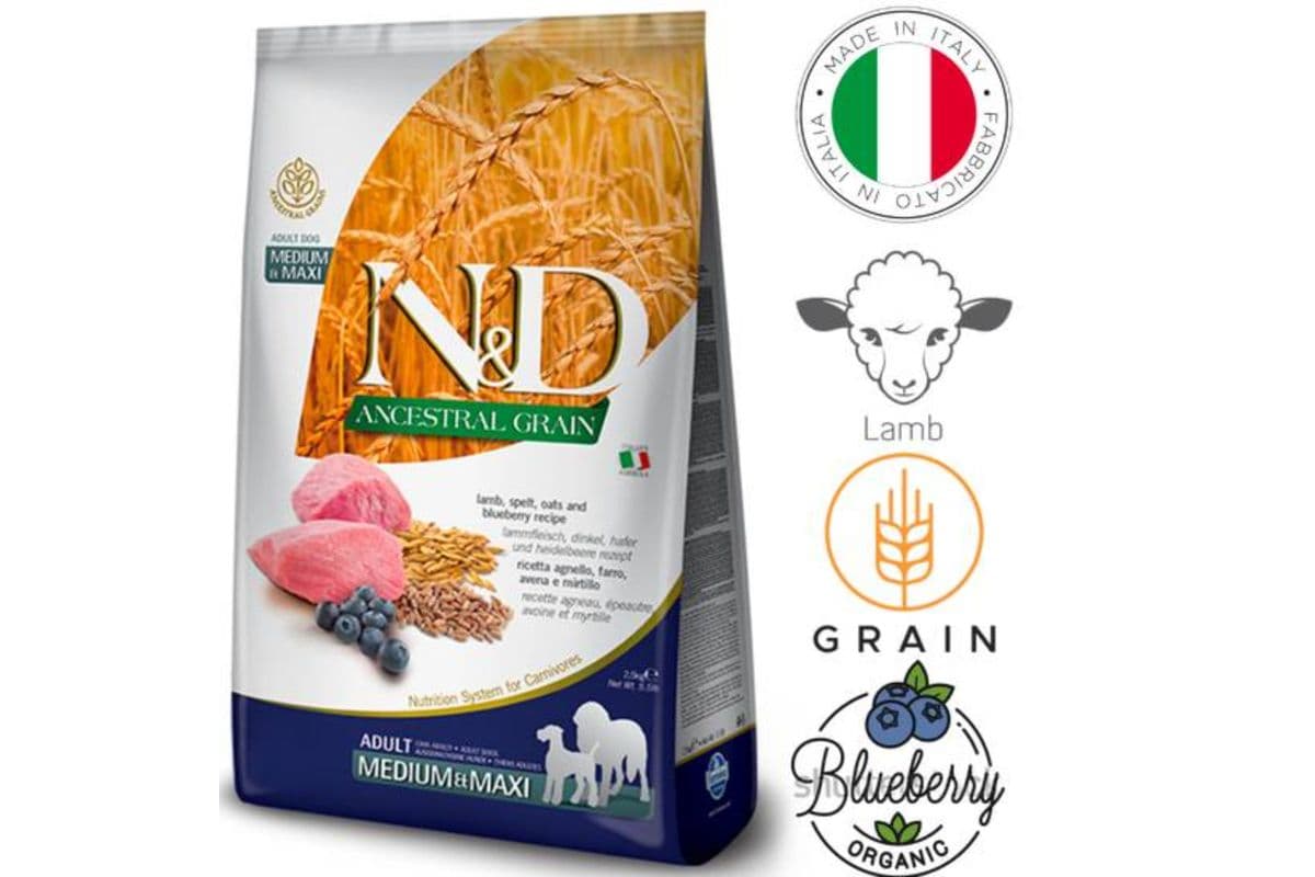 Farmina Ancestral Grain Lamb & Blueberry Medium & Maxi Dry Dog Food (5.5 lbs)