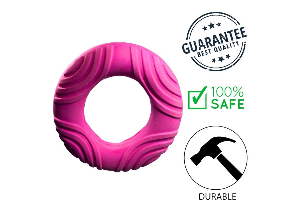 BuD'z Latex Ring Squeaker Dog Toy Purple