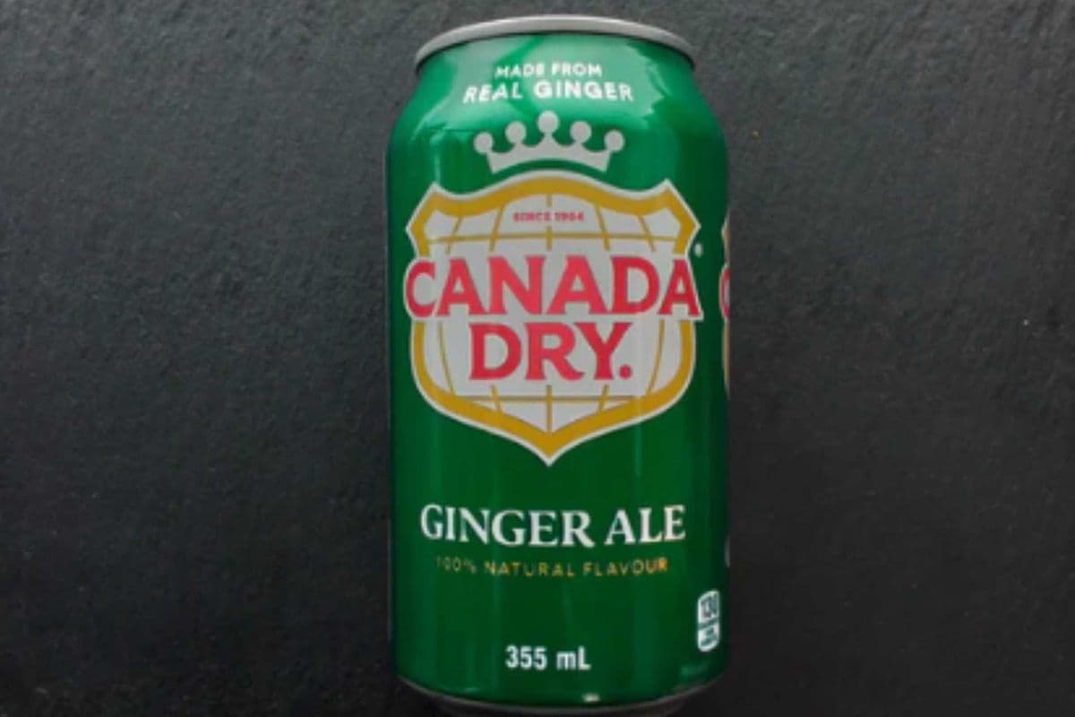 Canada Dry Ginger Ale Can (355 mL)