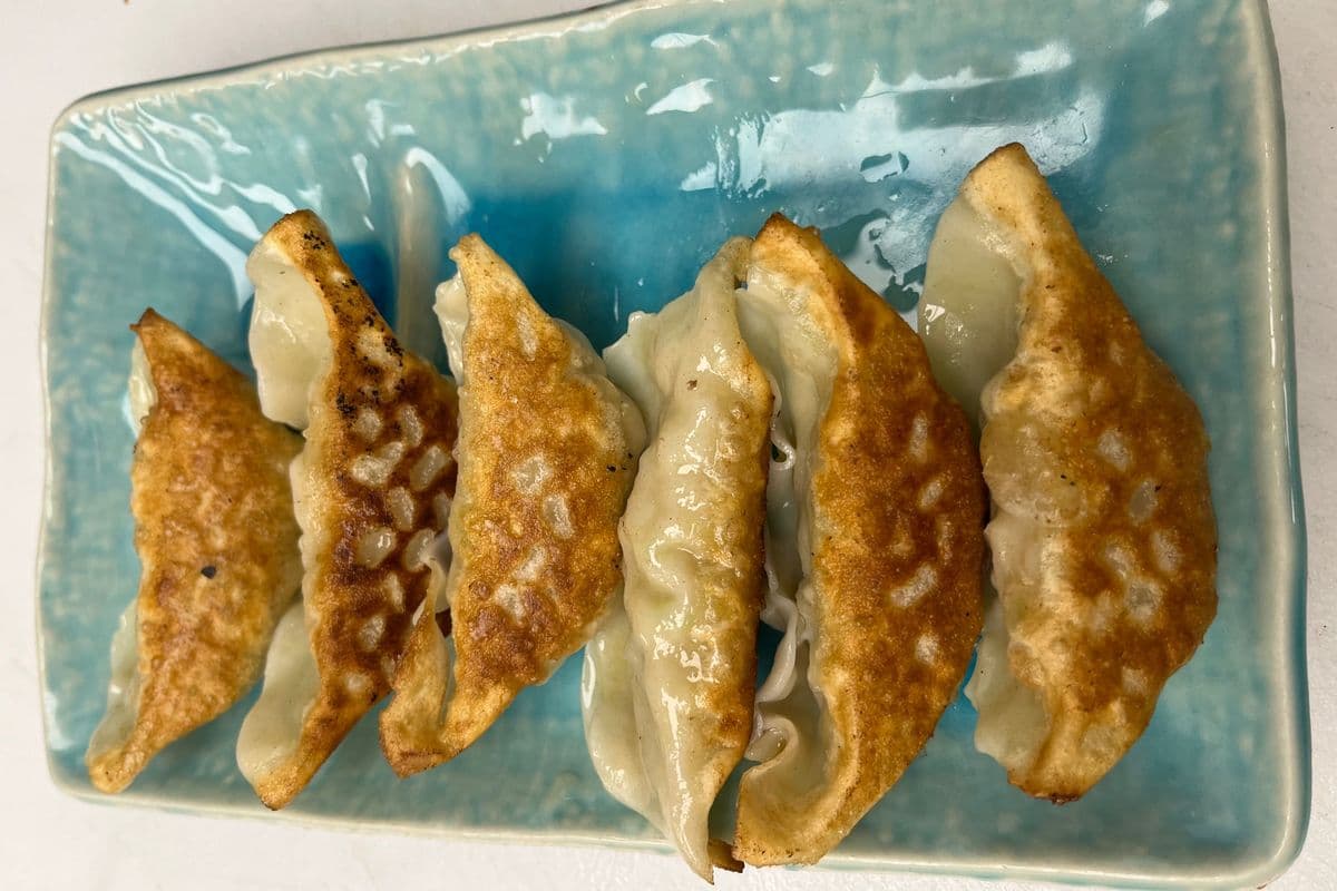 Pork Gyoza