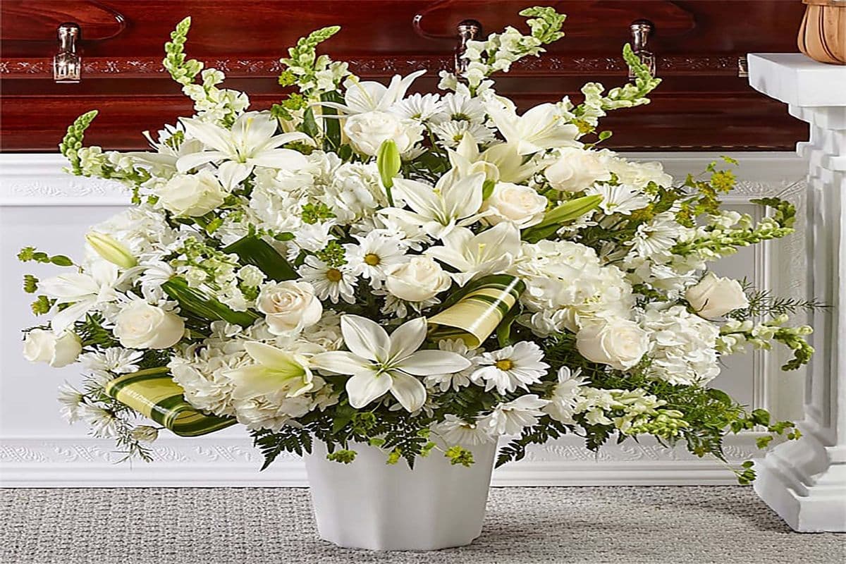 Elegance and Remembrance