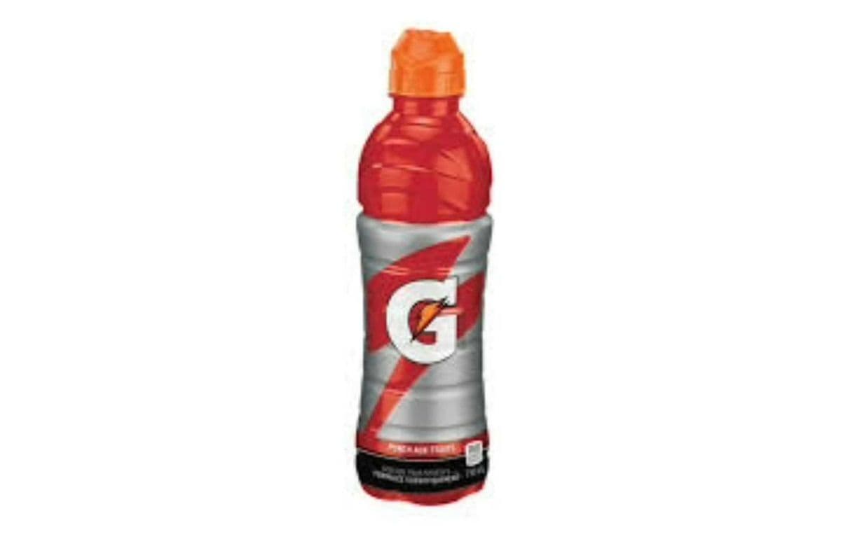 Gatorade Fruit Punch (710 ml)