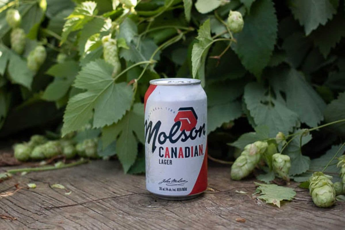 MOLSON CANADIAN 8PACK CANS (1 X 8*355ML) (1 x 355ML)