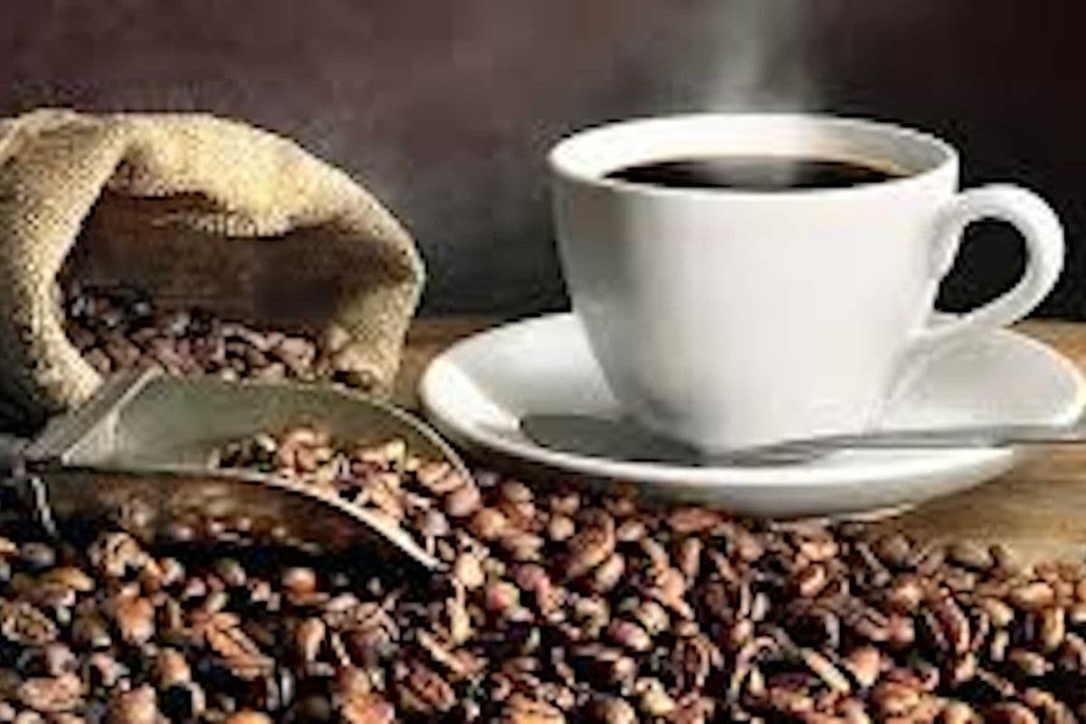 Premium Fresh Brewed Coffee