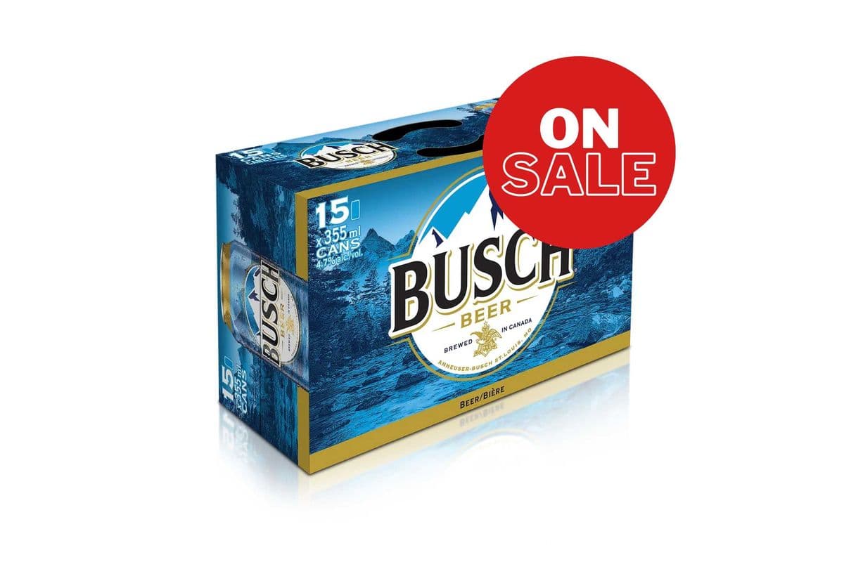 Busch (15 x 355ml)