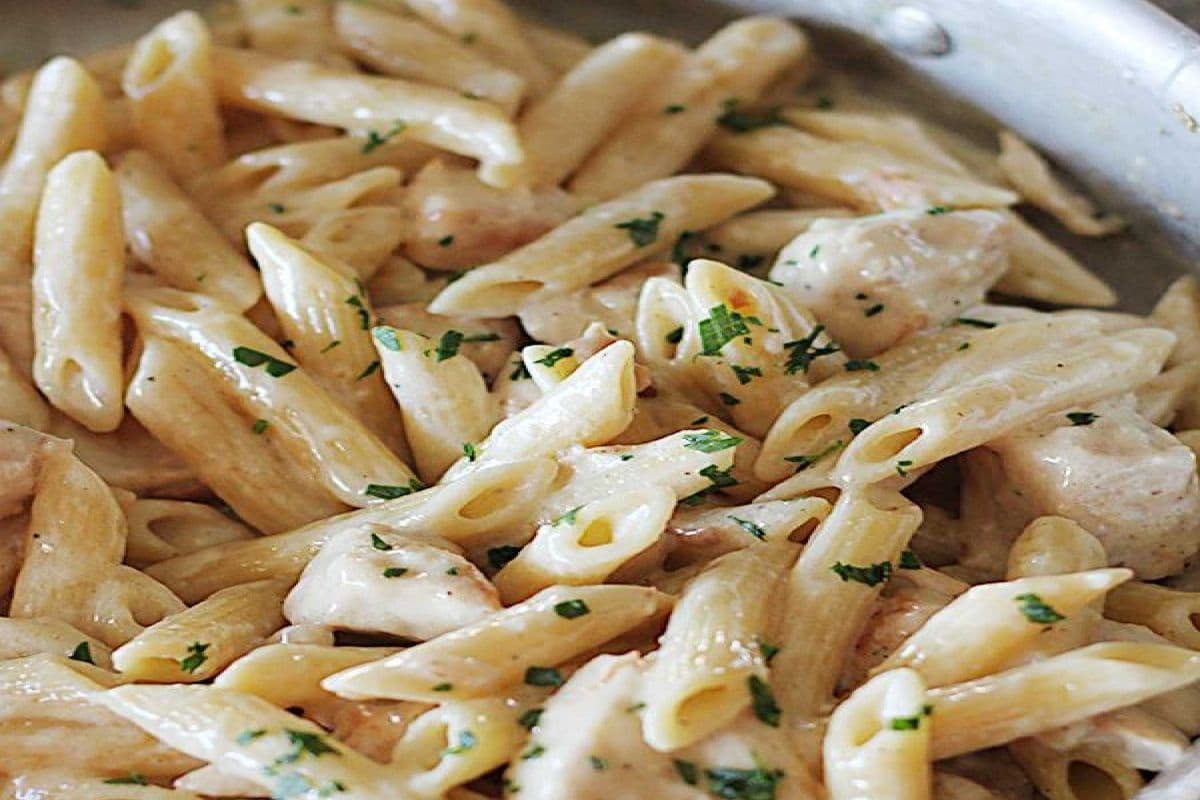 Chicken Alfredo Pasta