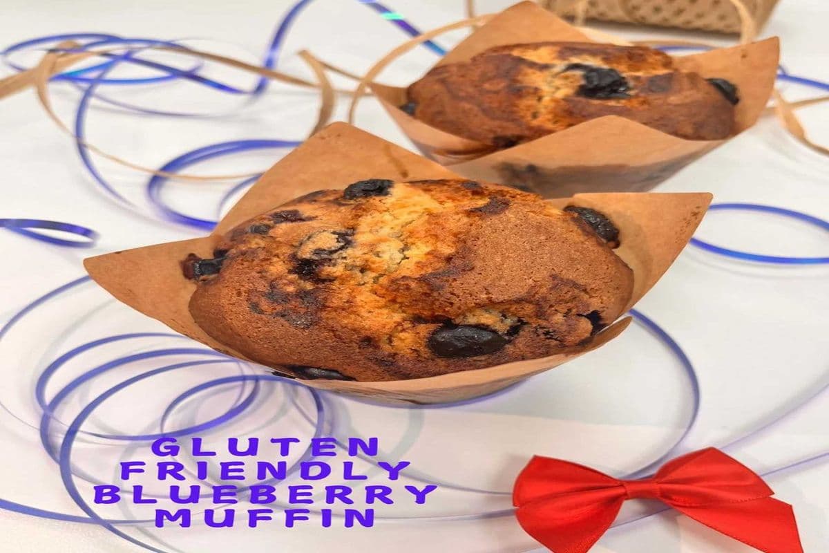 Gluten Friendly Blueberry Muffin