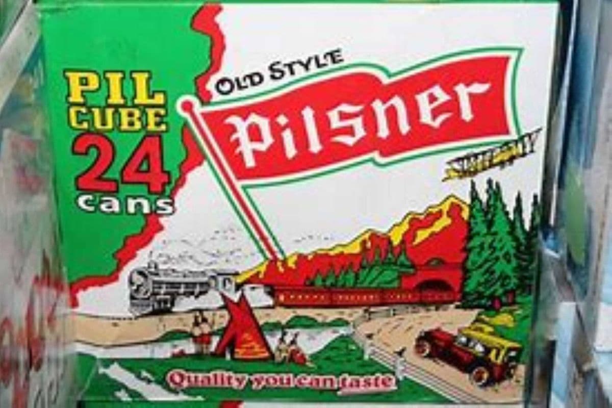 PILSNER CUBE 24 CAN 355ML (1 x 355MLX24)