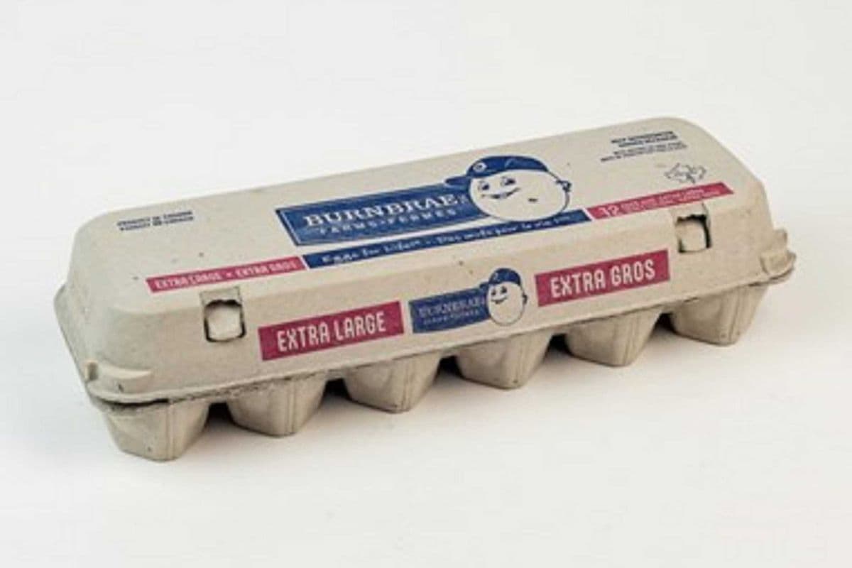 Oeuf Extra Gros/ Extra Big Eggs (12)