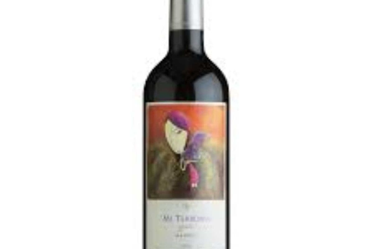 MI TERRUNO EXPRESION MALBEC (1 x 750ML)