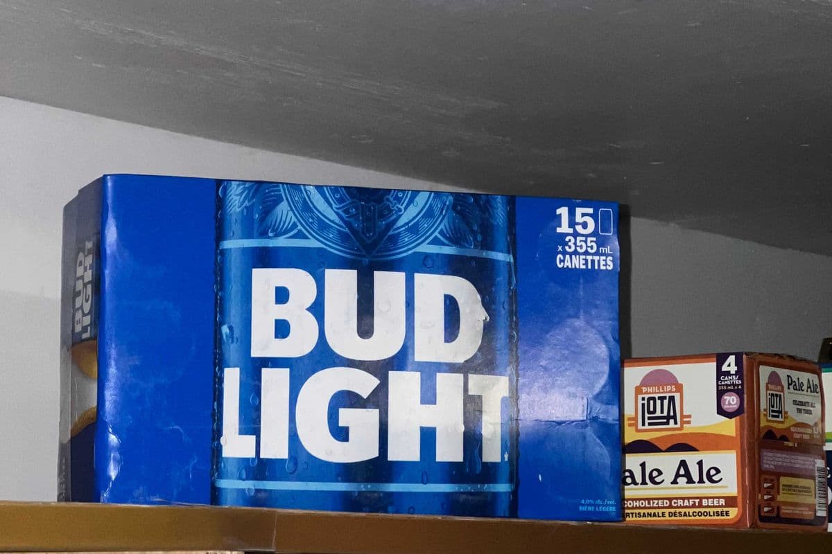 Bud Light (15 Pack) (1 x 15 PK)