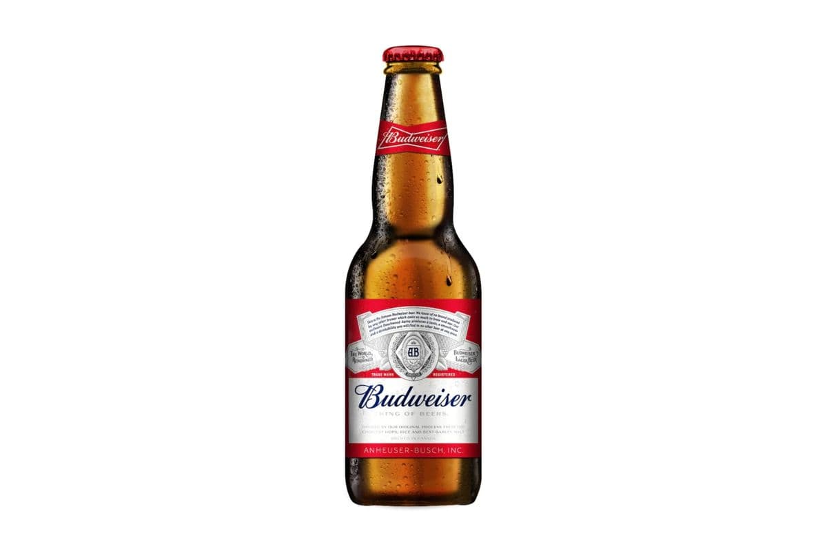Budweiser (341 ml Bottle) (1 x 341 ml)